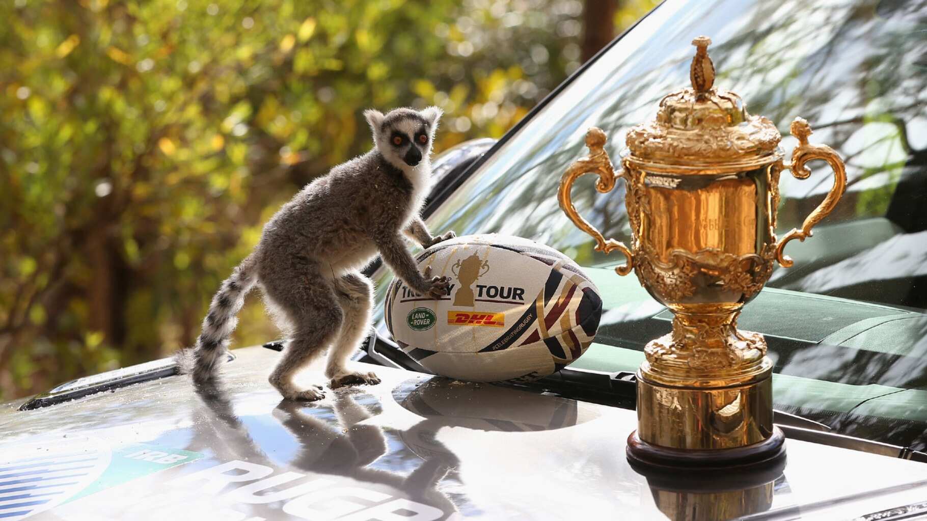 Rugby World Cup: Tour of Madagascar