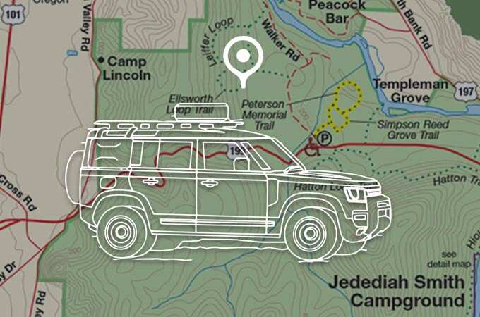 Map of the Jedediah Smith Campground.